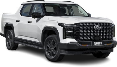 LDV Terron 9