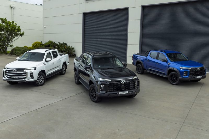 LDV Image