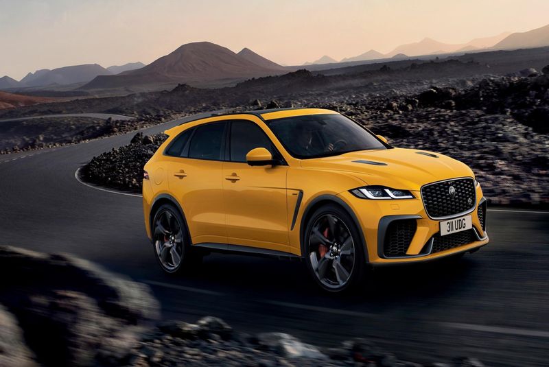 Jaguar Image
