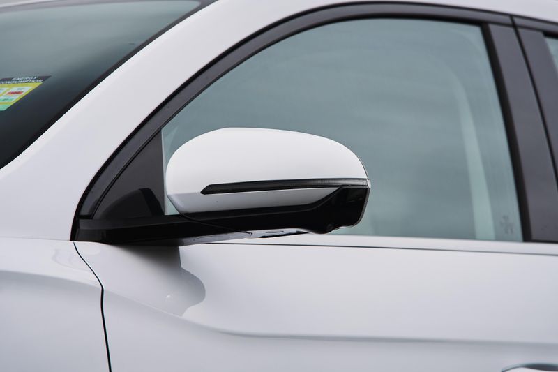 BYD Sealion 5 Image